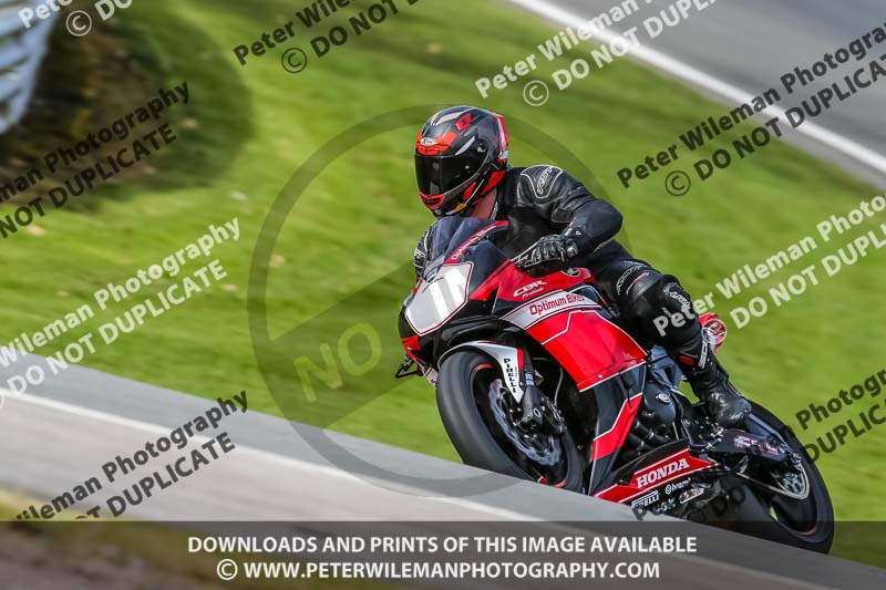 Oulton Park 21st March 2020;PJ Motorsport Photography 2020;anglesey;brands hatch;cadwell park;croft;donington park;enduro digital images;event digital images;eventdigitalimages;mallory;no limits;oulton park;peter wileman photography;racing digital images;silverstone;snetterton;trackday digital images;trackday photos;vmcc banbury run;welsh 2 day enduro